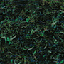 Teal (344)