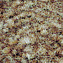 Desert Plum (512)